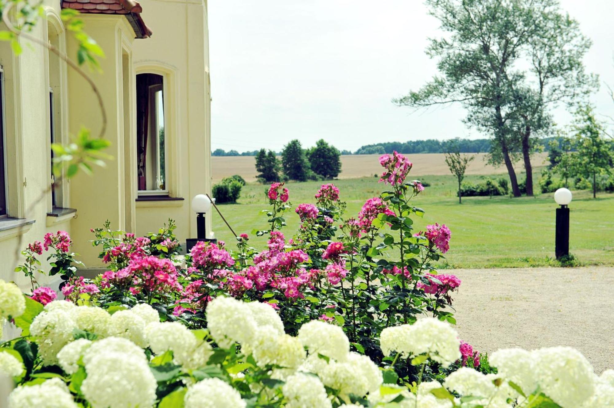 Gutshaus Penzlin Villa Meyenburg  Exterior photo